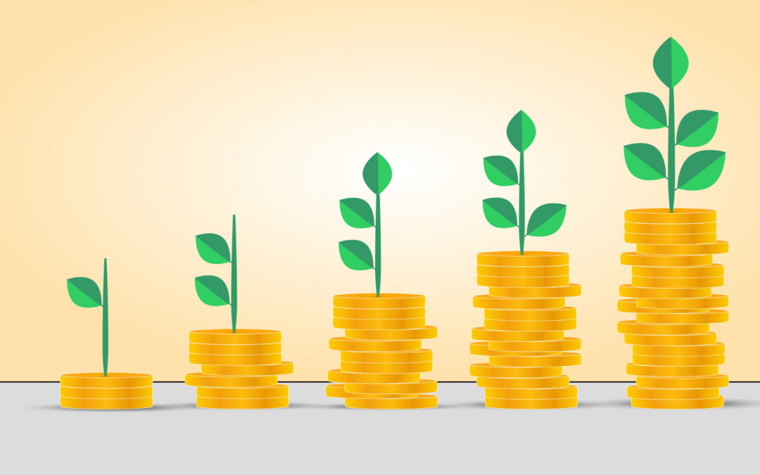 Innovation for Sustainable SMEs: How Financial Health Drives Resilience and Long-Term Performance in a Transition Economy